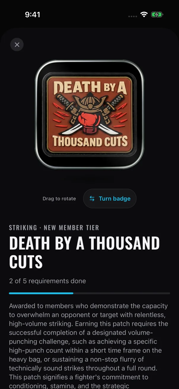 The top of the page: the patch, the controls for turning it over, the patch name and how many requirements you've done.