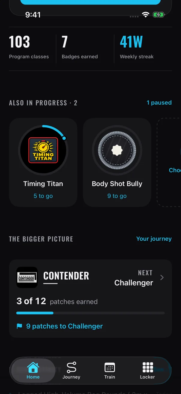 The belt card shows how many patches you've earned toward your next belt and how many are left.